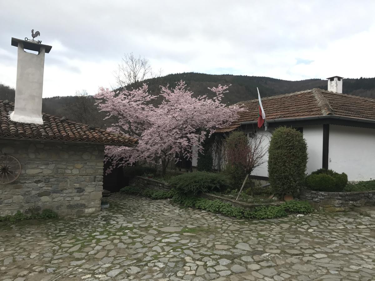 Hotel Divetsite Sliven 外观 照片